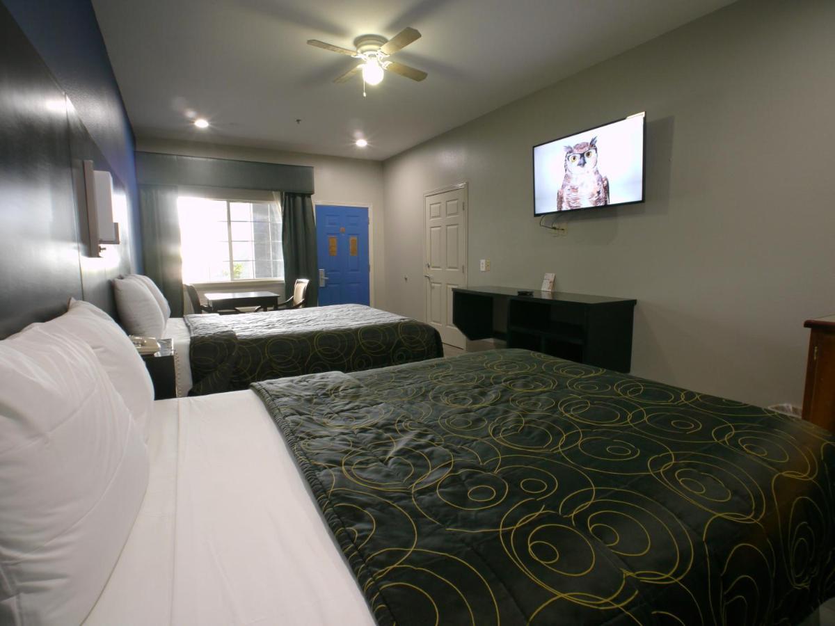 Texas Inn 알라모 외부 사진